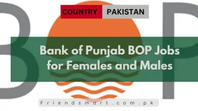 Photo of Bank of Punjab BOP Jobs for Females and Males 2024