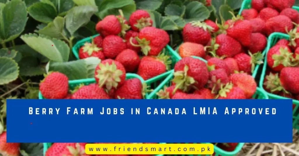 Berry Farm Jobs in Canada LMIA Approved