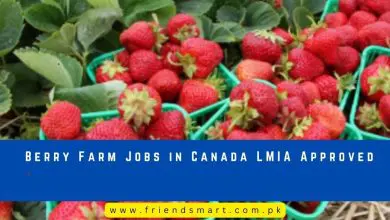 Photo of Berry Farm Jobs in Canada LMIA Approved