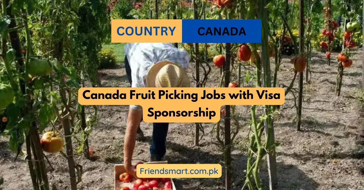 Canada Fruit Picking Jobs with Visa Sponsorship