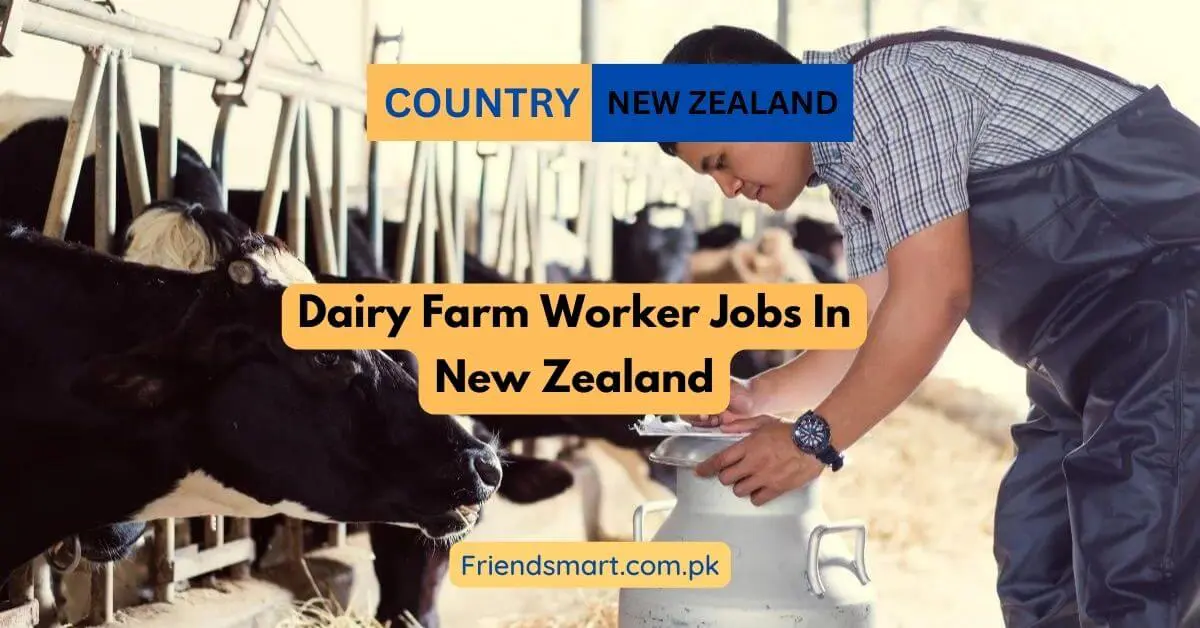 Dairy Farm Worker Jobs In New Zealand
