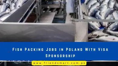 Photo of Fish Packing Jobs in Poland With Visa Sponsorship 2024