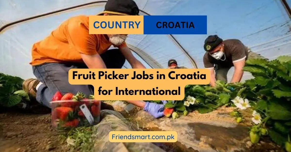 Fruit Picker Jobs in Croatia for International