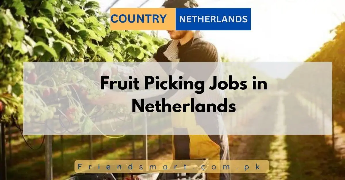 Fruit Picking Jobs in Netherlands