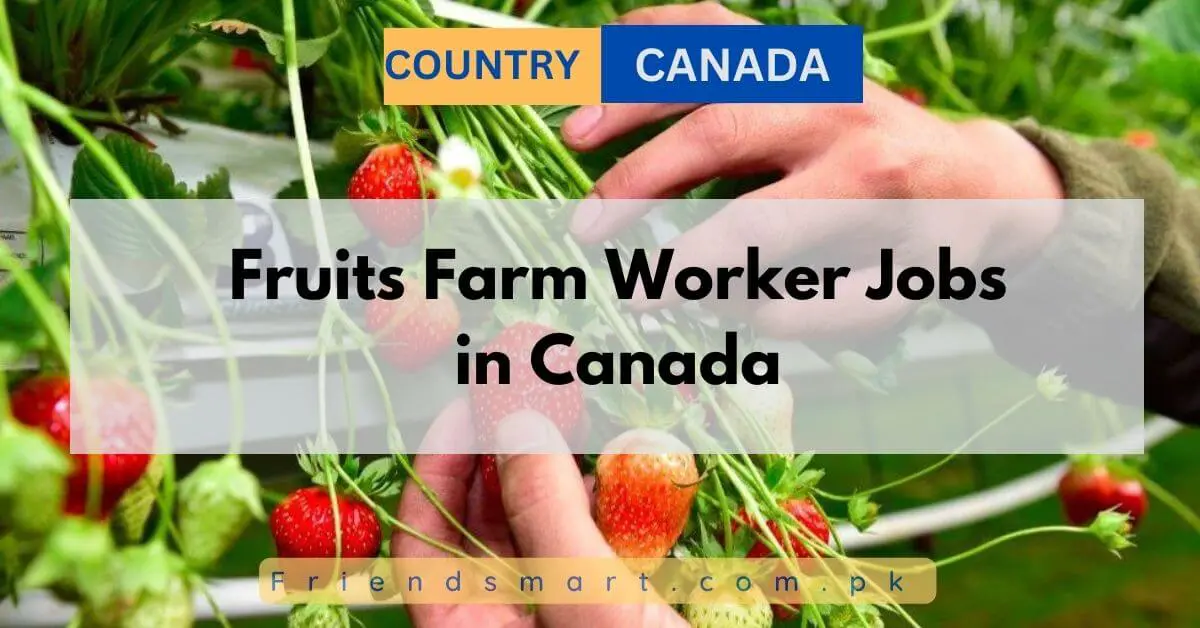Fruits Farm Worker Jobs in Canada