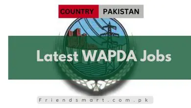 Photo of Latest WAPDA Jobs 2024 – Apply Online