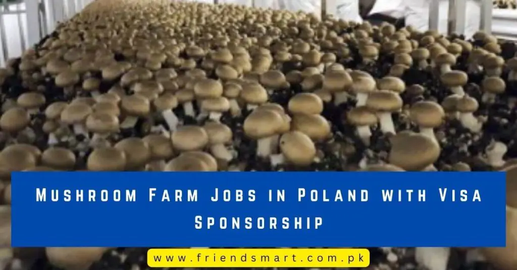 Mushroom Farm Jobs in Poland with Visa Sponsorship