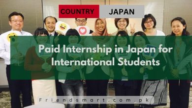 Photo of Paid Internship in Japan for International Students 2025