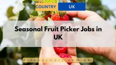Photo of Seasonal Fruit Picker Jobs in UK 2024 – Apply Now
