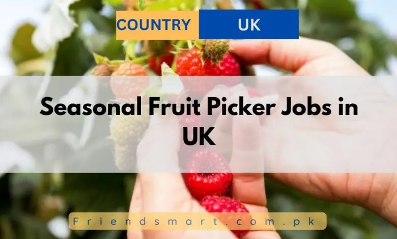 Photo of Seasonal Fruit Picker Jobs in UK 2024 – Apply Now