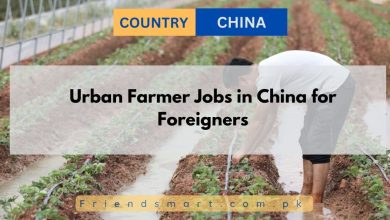Photo of Urban Farmer Jobs in China for Foreigners 2025- Apply Now