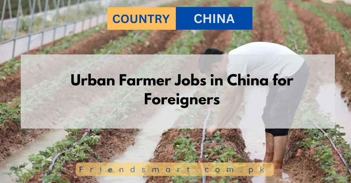 Urban Farmer Jobs in China for Foreigners
