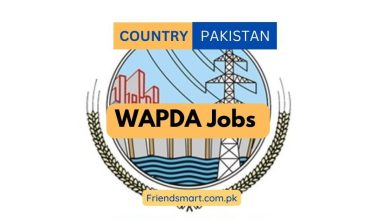 Photo of WAPDA Jobs 2024 – Apply Now