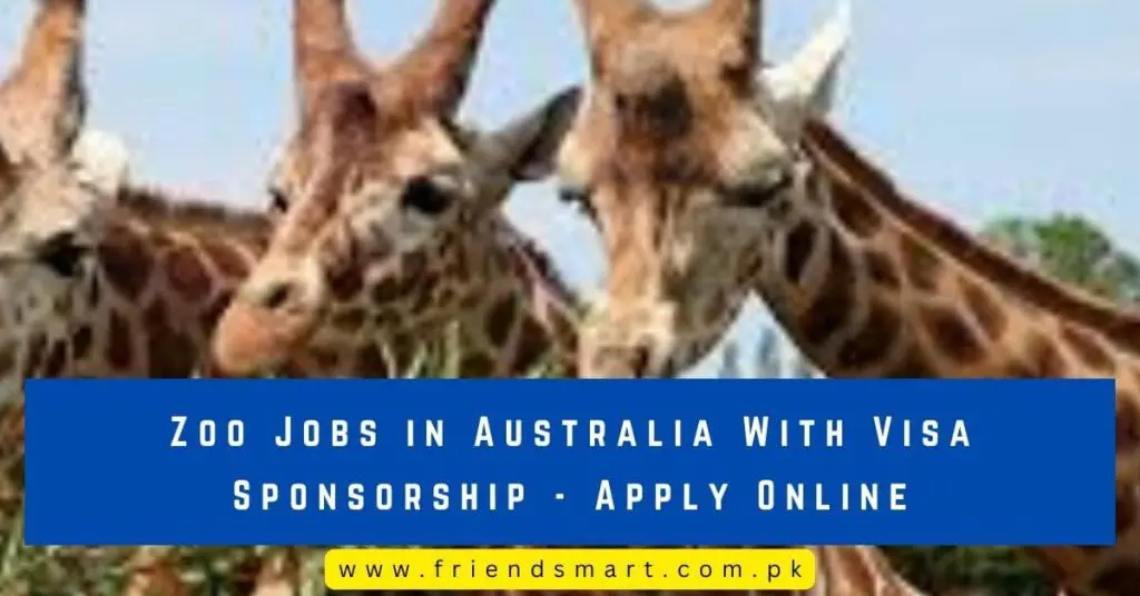 Zoo Jobs in Australia With Visa Sponsorship