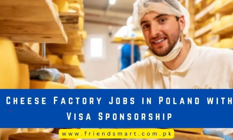 Photo of Cheese Factory Jobs in Poland with Visa Sponsorship 2024