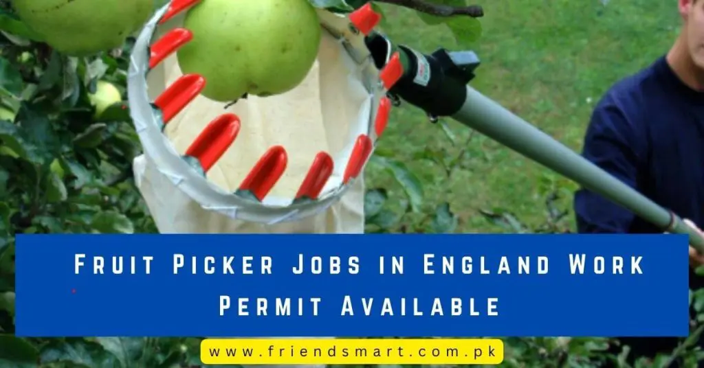 Fruit Picker Jobs in England Work Permit Available