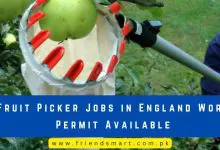 Photo of Fruit Picker Jobs in England Work Permit Available
