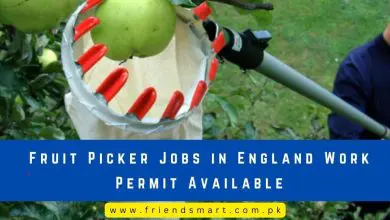Photo of Fruit Picker Jobs in England Work Permit Available 2024