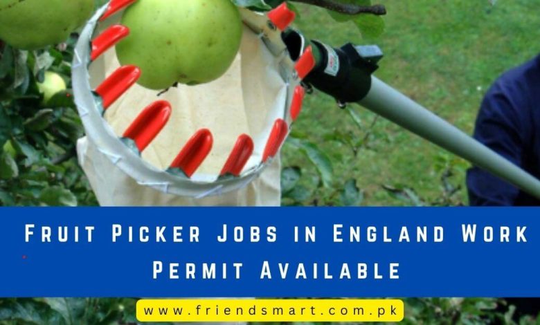 Photo of Fruit Picker Jobs in England Work Permit Available 2024