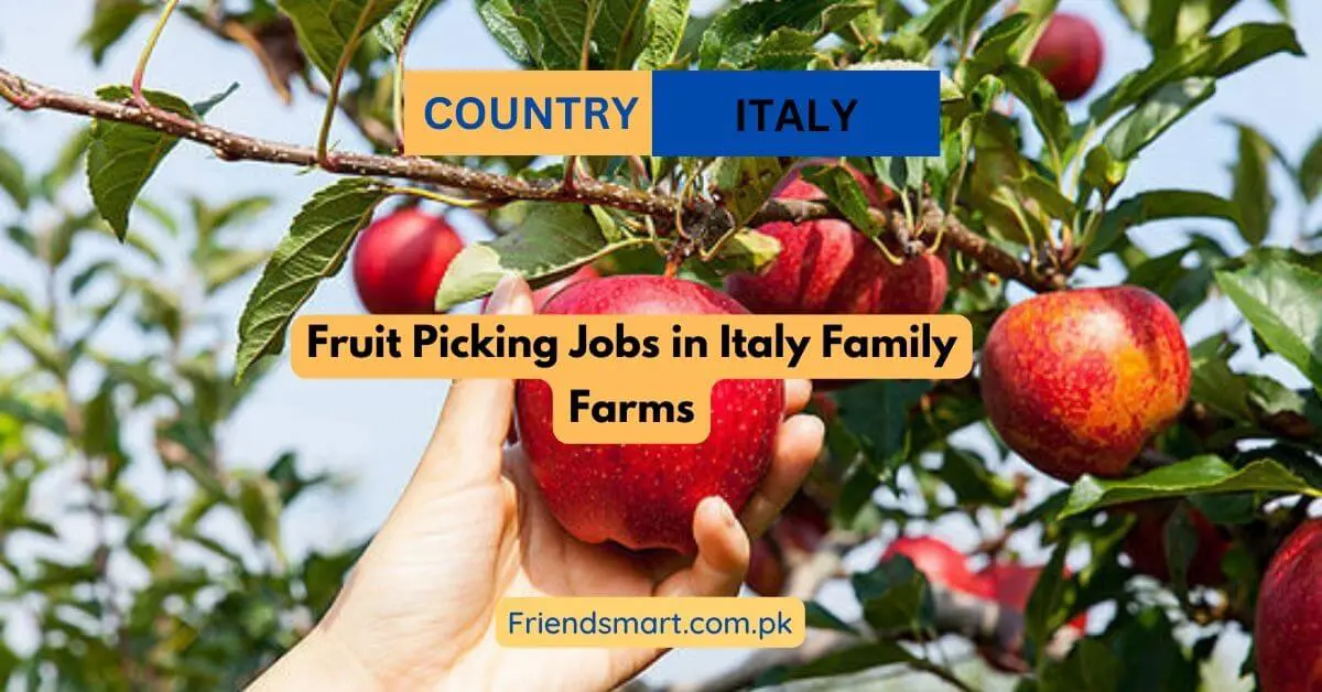 Fruit Picking Jobs in Italy Family Farms