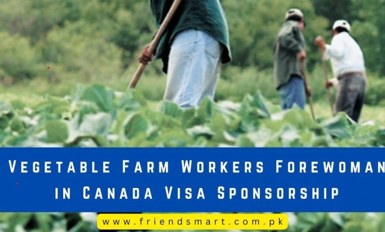 Photo of Vegetable Farm Workers Forewoman in Canada Visa Sponsorship