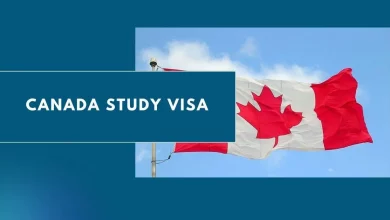 Photo of Canada Study Visa 2024 – How to Apply