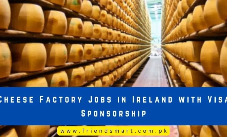 Photo of Cheese Factory Jobs in Ireland with Visa Sponsorship