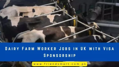 Photo of Dairy Farm Worker Jobs in UK with Visa Sponsorship
