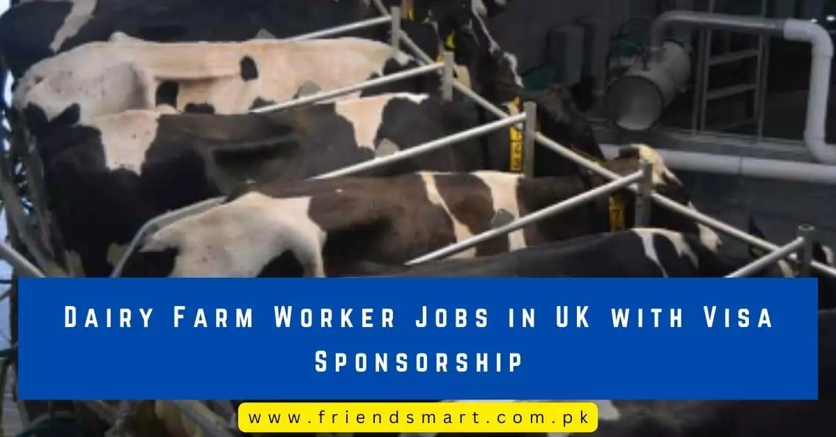 Dairy Farm Worker Jobs in UK with Visa Sponsorship