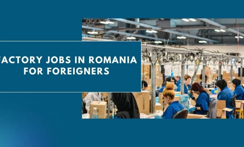 Photo of Factory Jobs in Romania for Foreigners 2024 – Visa Sponsorship