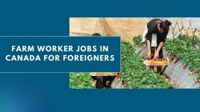Photo of Farm Worker Jobs in Canada for Foreigners 2024 – Apply Now
