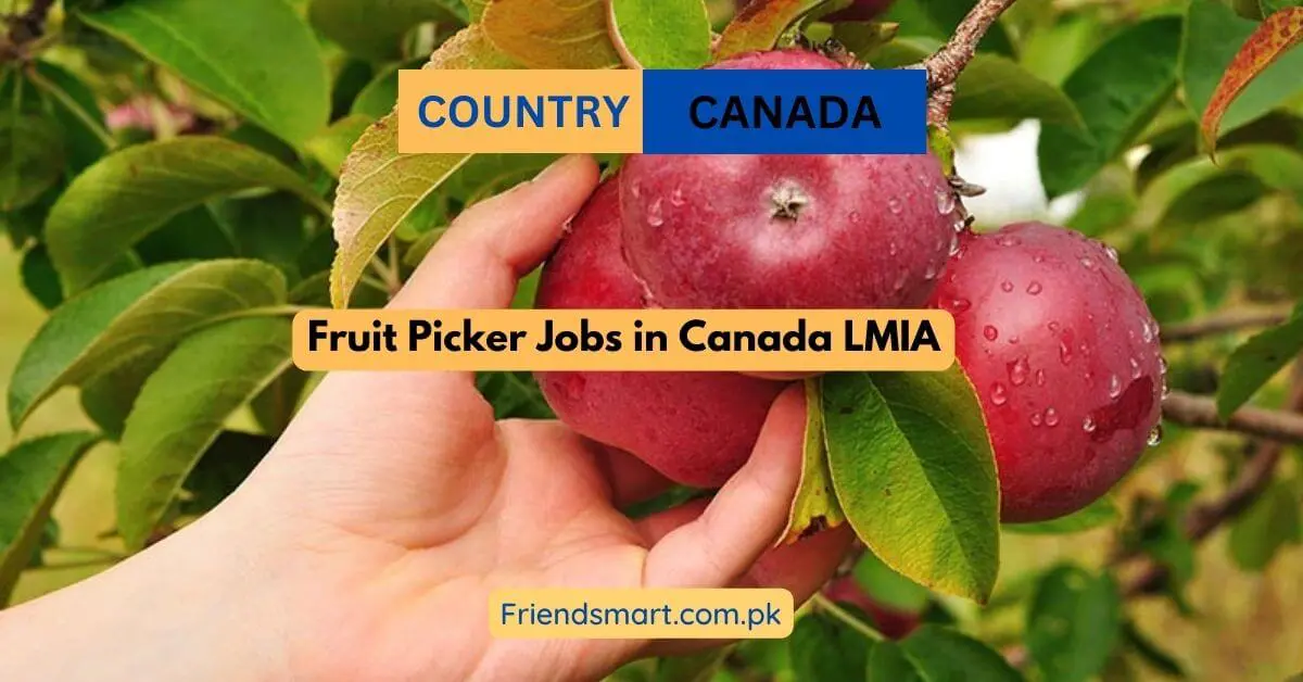 Fruit Picker Jobs in Canada LMIA