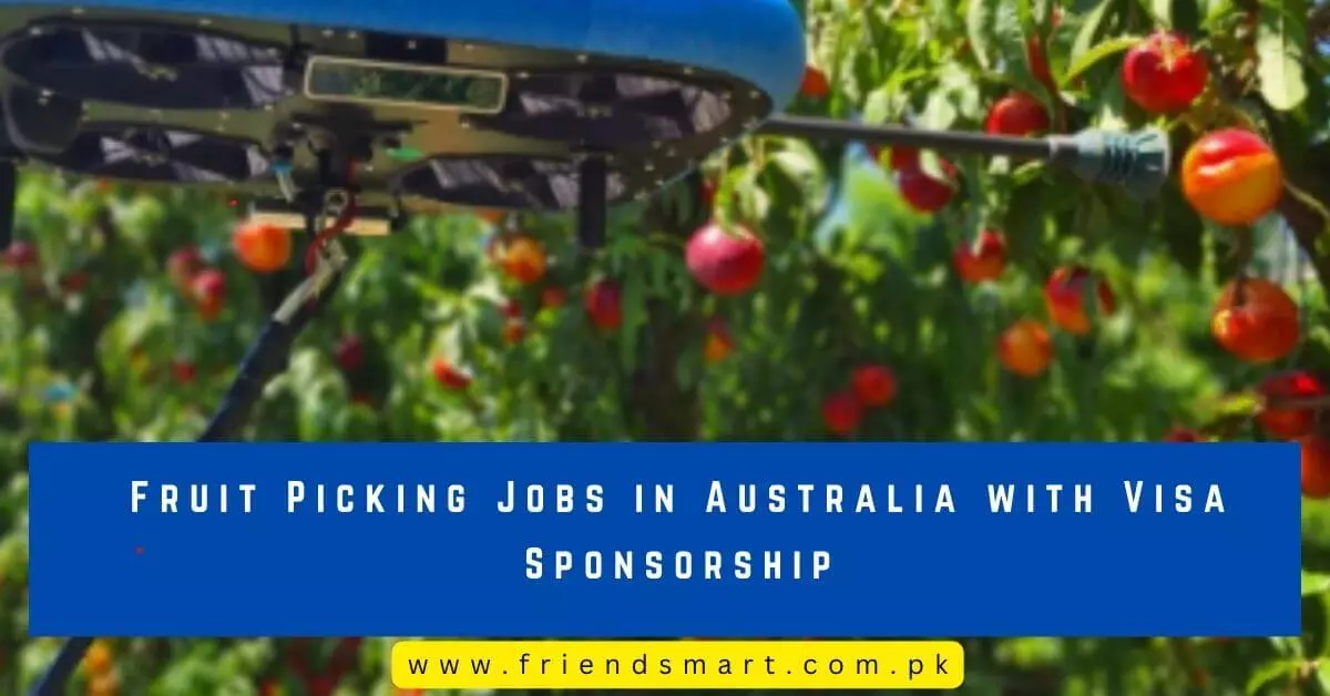 Fruit Picking Jobs in Australia with Visa Sponsorship