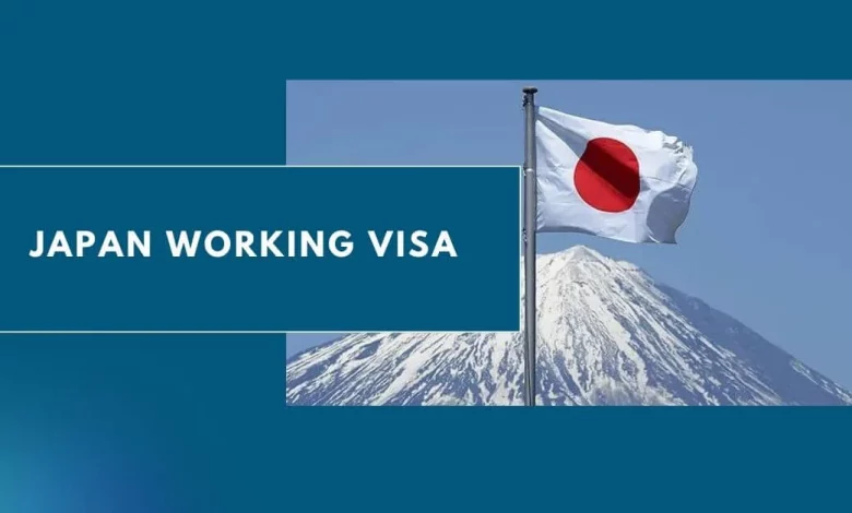 Photo of Japan Working Visa 2024 – Visa Guide