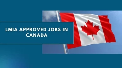 Photo of LMIA Approved Jobs in Canada 2024 – Apply Now