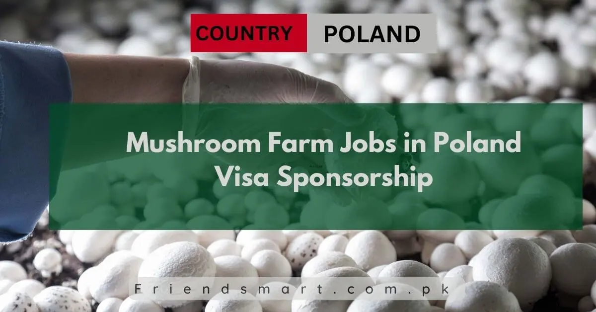 Mushroom Farm Jobs in Poland Visa Sponsorship