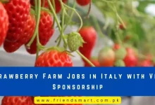 Photo of Strawberry Farm Jobs in Italy with Visa Sponsorship 2024