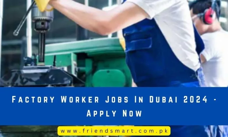 Photo of Factory Worker Jobs In Dubai 2024 – Apply Now