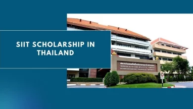 Photo of SIIT Scholarship in Thailand 2024 – Fully Funded