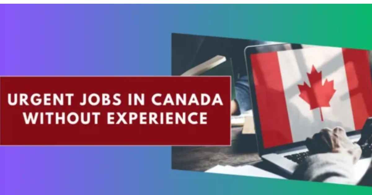 Urgent Jobs in Canada Without Experience with Visa Sponsered
