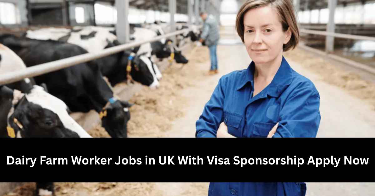 Dairy Farm Worker Jobs in UK With Visa Sponsorship Apply Now