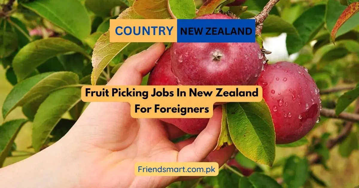 Fruit Picking Jobs In New Zealand For Foreigners