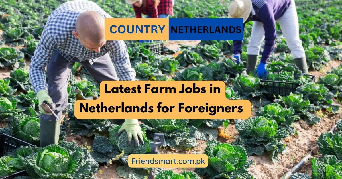 Latest Farm Jobs in Netherlands for Foreigners