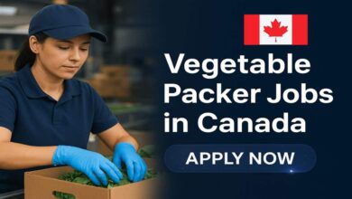 Photo of Vegetable Packer Jobs in Canada 2025