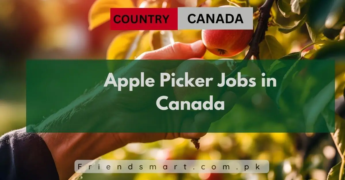 Apple Picker Jobs in Canada