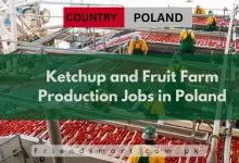 Photo of Ketchup and Fruit Farm Production Jobs in Poland 2024