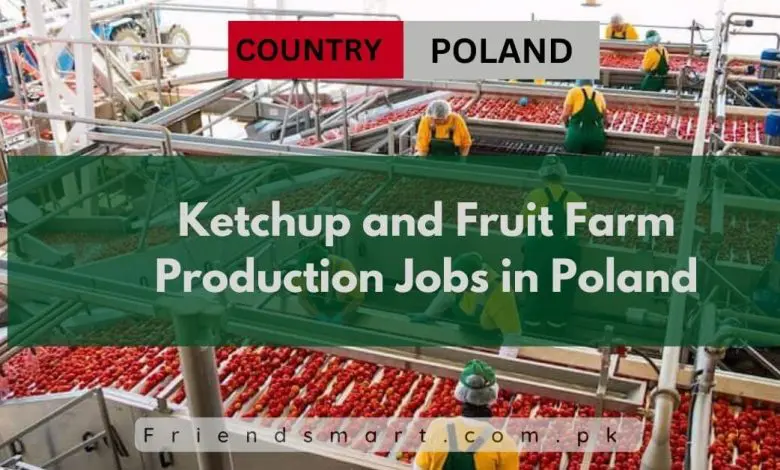 Photo of Ketchup and Fruit Farm Production Jobs in Poland 2024