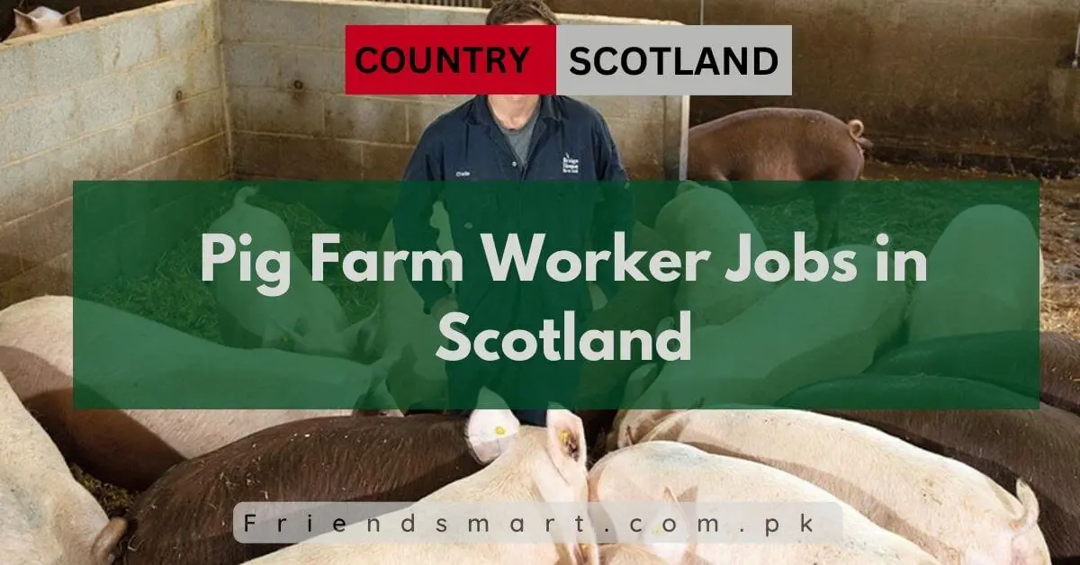 Pig Farm Worker Jobs in Scotland