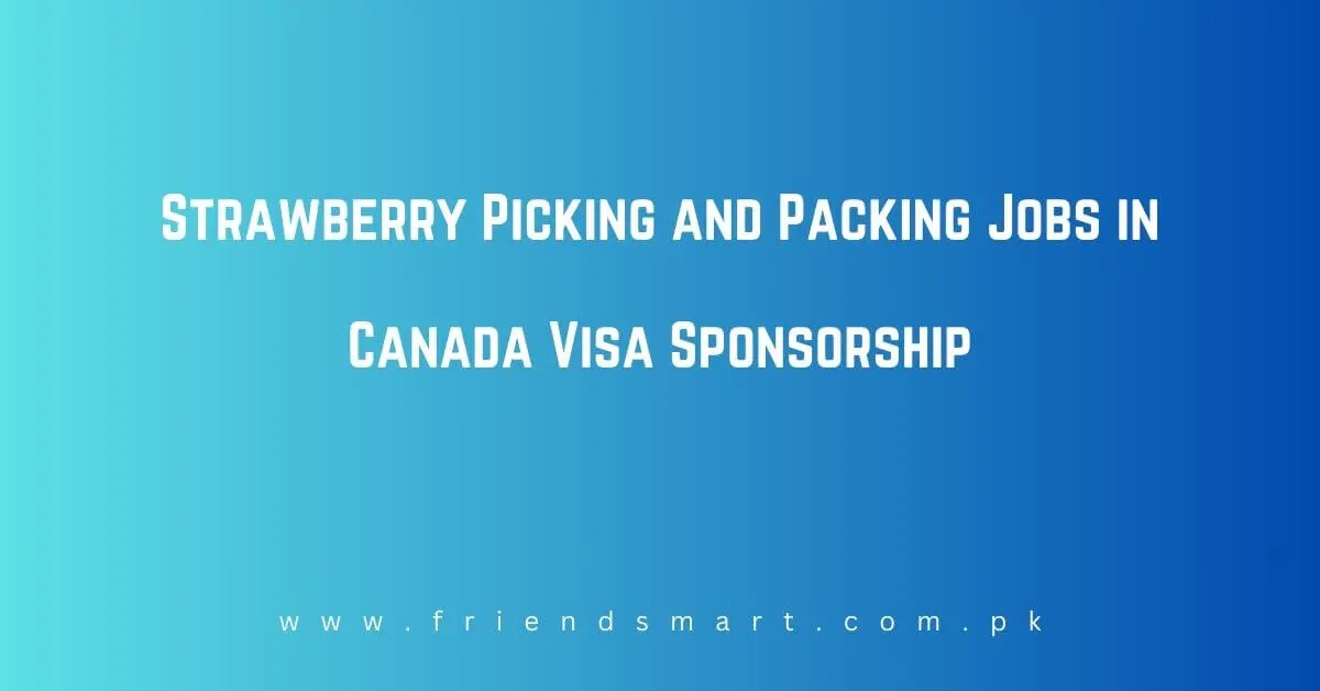 Strawberry Picking and Packing Jobs in Canada