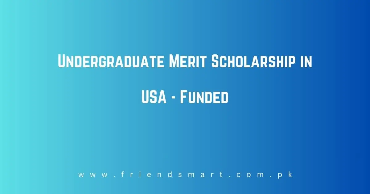 Undergraduate Merit Scholarship in USA